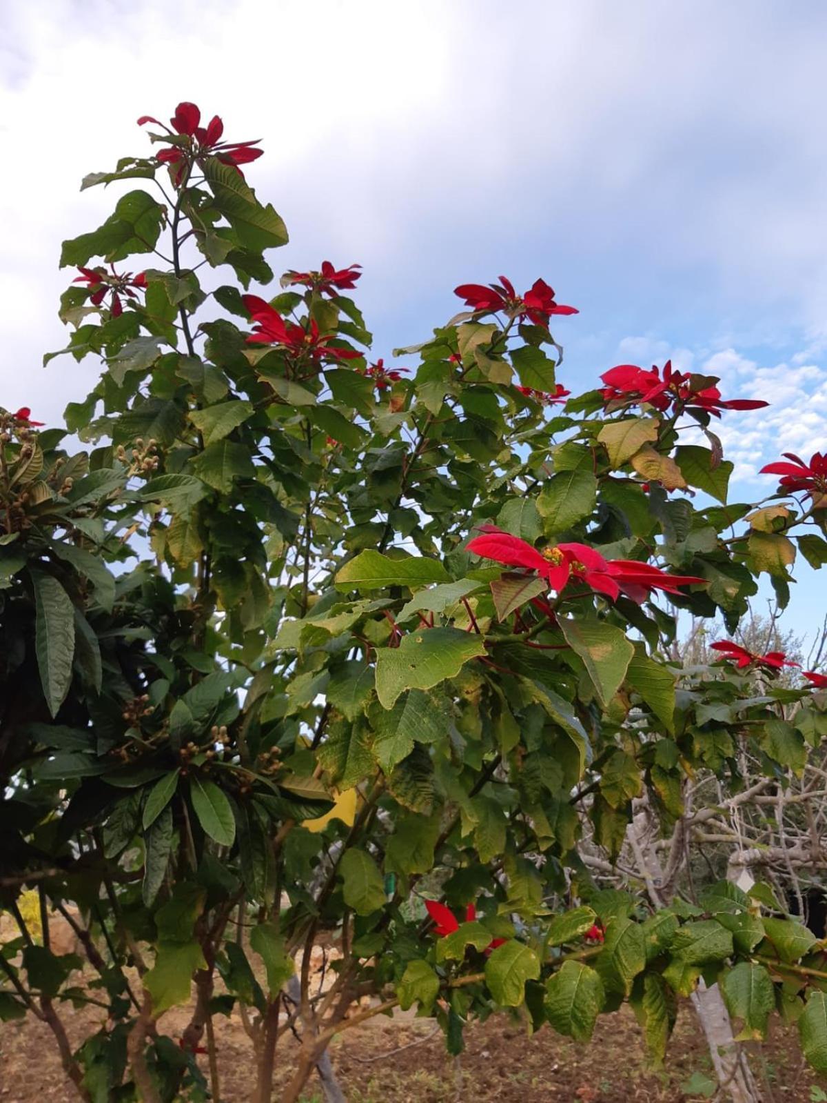 Casa Le Gebbie Βίλα Marzamemi Εξωτερικό φωτογραφία